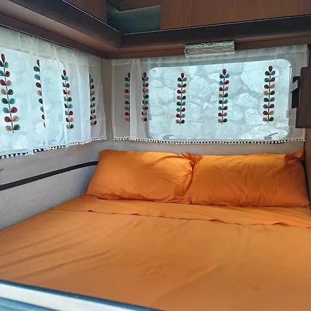Ecoglamping Camping