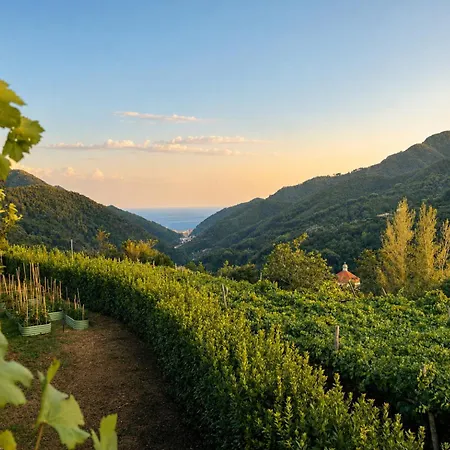 Ecoglamping Tramonti