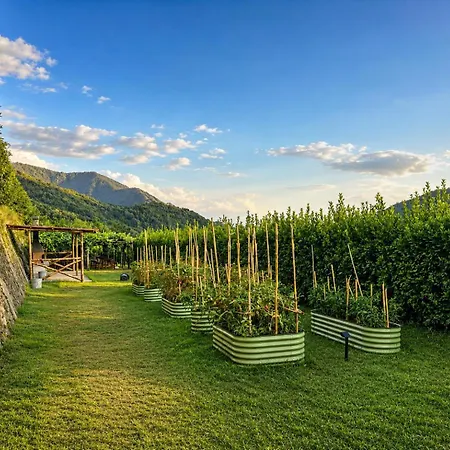 Ecoglamping * Tramonti
