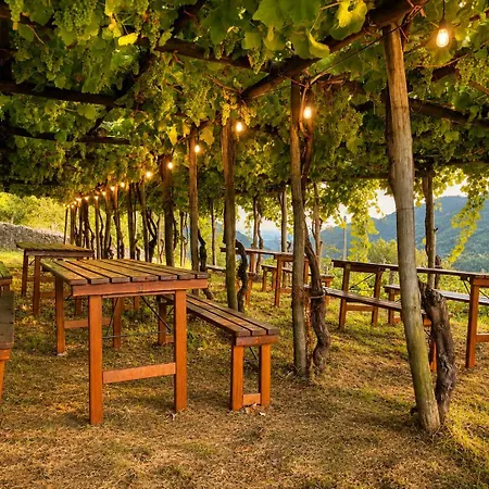 Ecoglamping Camping *