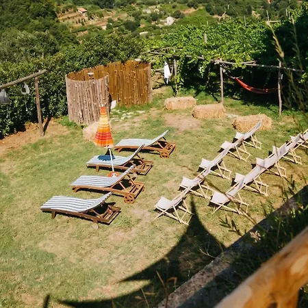 Ecoglamping Camping *